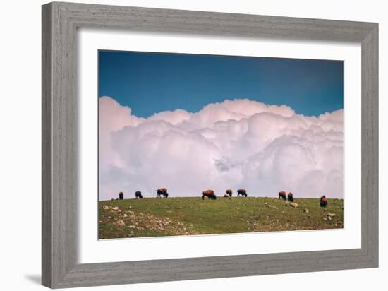 Bison Cloudscape, Yellowstone National Park, Wyoming-null-Framed Photographic Print