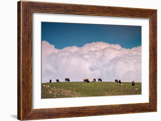 Bison Cloudscape, Yellowstone National Park, Wyoming-null-Framed Photographic Print