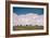 Bison Cloudscape, Yellowstone National Park, Wyoming-null-Framed Photographic Print