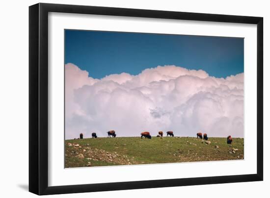 Bison Cloudscape, Yellowstone National Park, Wyoming-null-Framed Photographic Print