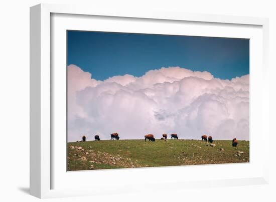 Bison Cloudscape, Yellowstone National Park, Wyoming-null-Framed Photographic Print