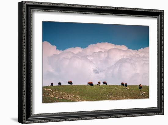 Bison Cloudscape, Yellowstone National Park, Wyoming-null-Framed Photographic Print