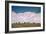 Bison Cloudscape, Yellowstone National Park, Wyoming-null-Framed Photographic Print