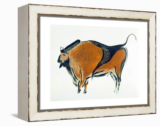 Bison, Copy of a Palaeolithic Cave Painting at Altamira, Northern Spain, 1913-null-Framed Premier Image Canvas