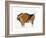 Bison, Copy of a Palaeolithic Cave Painting at Altamira, Northern Spain, 1913-null-Framed Giclee Print