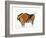 Bison, Copy of a Palaeolithic Cave Painting at Altamira, Northern Spain, 1913-null-Framed Giclee Print