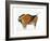 Bison, Copy of a Palaeolithic Cave Painting at Altamira, Northern Spain, 1913-null-Framed Giclee Print