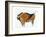 Bison, Copy of a Palaeolithic Cave Painting at Altamira, Northern Spain, 1913-null-Framed Giclee Print