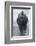 Bison Covered in Frost-W^ Perry Conway-Framed Photographic Print