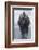 Bison Covered in Frost-W^ Perry Conway-Framed Photographic Print