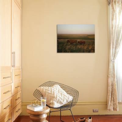 Bison Grazing In The Tallgrass Prairie Preserve In The Osage Hills Photographic Print By Joel Sartore Art Com