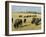 Bison Grazing in Yellowstone National Park, Wyoming, USA-Roy Rainford-Framed Photographic Print