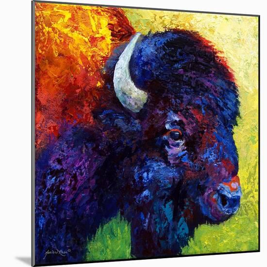 Bison Head III-Marion Rose-Mounted Giclee Print