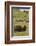 Bison Herd, Yellowstone National Park-Ken Archer-Framed Photographic Print