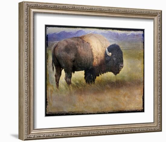 Bison I-Chris Vest-Framed Art Print