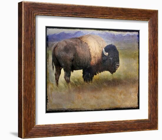 Bison I-Chris Vest-Framed Art Print