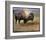 Bison I-Chris Vest-Framed Art Print