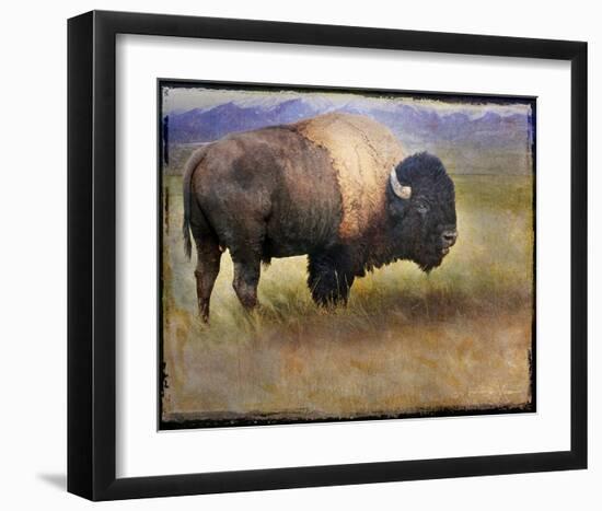 Bison I-Chris Vest-Framed Art Print