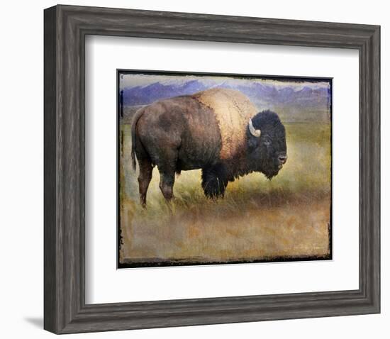 Bison I-Chris Vest-Framed Art Print