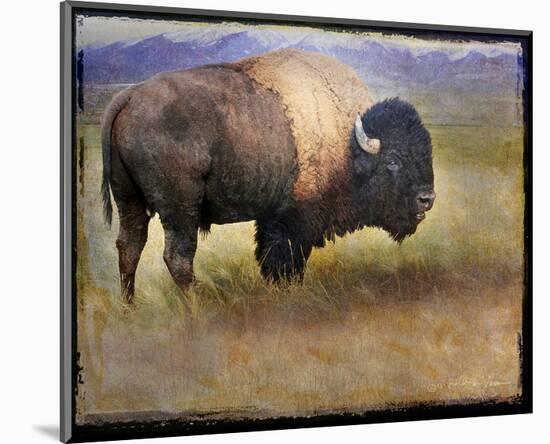 Bison I-Chris Vest-Mounted Art Print