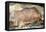 Bison in Font De Gaume, c.25,000 B.C.-Prehistoric-Framed Premier Image Canvas