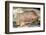 Bison in Font De Gaume, c.25,000 B.C.-Prehistoric-Framed Premium Photographic Print