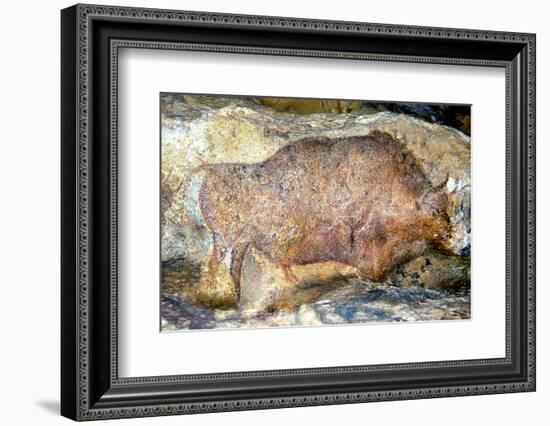 Bison in Font De Gaume, c.25,000 B.C.-Prehistoric-Framed Premium Photographic Print
