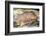 Bison in Font De Gaume, c.25,000 B.C.-Prehistoric-Framed Premium Photographic Print