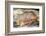 Bison in Font De Gaume, c.25,000 B.C.-Prehistoric-Framed Photographic Print