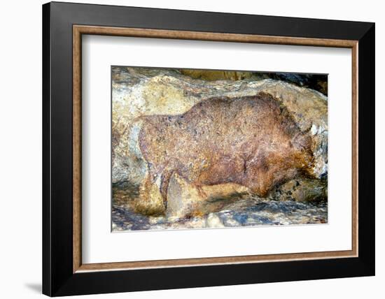 Bison in Font De Gaume, c.25,000 B.C.-Prehistoric-Framed Photographic Print