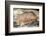 Bison in Font De Gaume, c.25,000 B.C.-Prehistoric-Framed Photographic Print