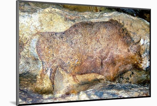 Bison in Font De Gaume, c.25,000 B.C.-Prehistoric-Mounted Photographic Print