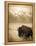 Bison in Grand Teton National Park Wyoming-Justin Bailie-Framed Premier Image Canvas