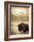 Bison in Grand Teton National Park Wyoming-Justin Bailie-Framed Photographic Print