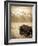 Bison in Grand Teton National Park Wyoming-Justin Bailie-Framed Photographic Print