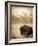 Bison in Grand Teton National Park Wyoming-Justin Bailie-Framed Photographic Print