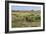 Bison in North Dakota Landscape-Galloimages Online-Framed Photographic Print