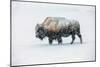Bison in snow, Yellowstone National Park, Wyoming-Art Wolfe-Mounted Giclee Print