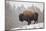 Bison in Snow-Jason Savage-Mounted Art Print