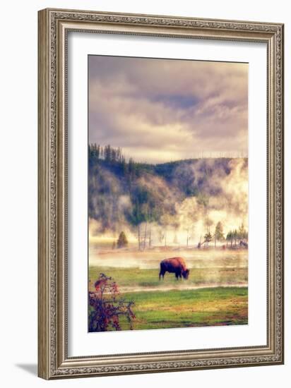 Bison in the Mist-Vincent James-Framed Photographic Print