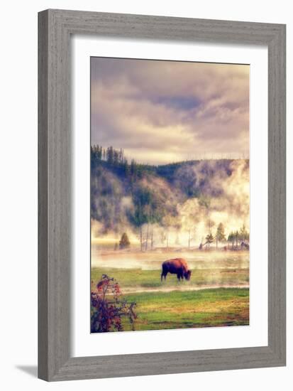 Bison in the Mist-Vincent James-Framed Photographic Print