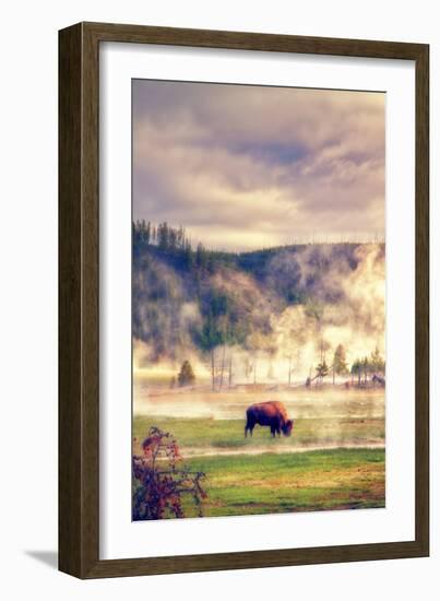 Bison in the Mist-Vincent James-Framed Photographic Print