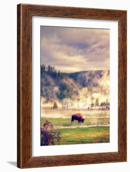 Bison in the Mist-Vincent James-Framed Photographic Print