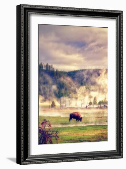 Bison in the Mist-Vincent James-Framed Photographic Print