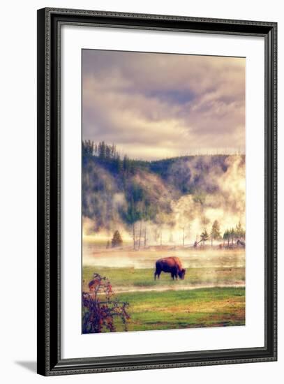 Bison in the Mist-Vincent James-Framed Photographic Print