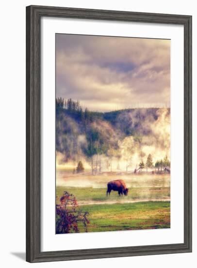 Bison in the Mist-Vincent James-Framed Photographic Print