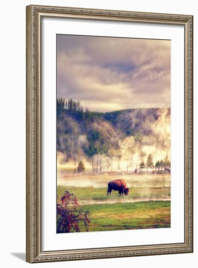 Bison in the Mist-Vincent James-Framed Photographic Print