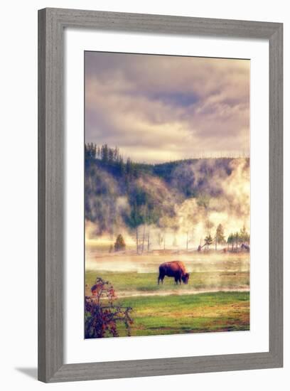 Bison in the Mist-Vincent James-Framed Photographic Print