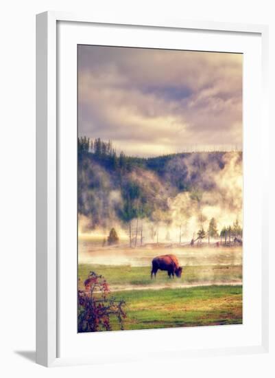 Bison in the Mist-Vincent James-Framed Photographic Print