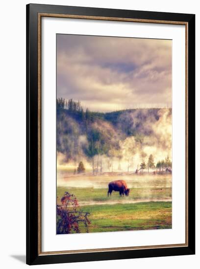 Bison in the Mist-Vincent James-Framed Photographic Print